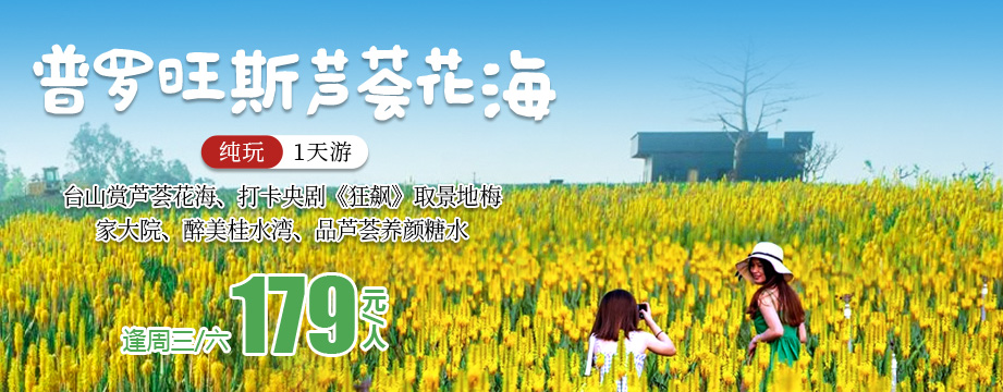 普罗旺斯芦荟花海