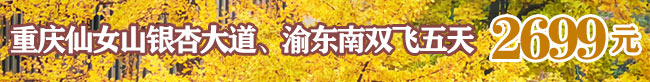 重庆仙女山银杏大道双飞五天