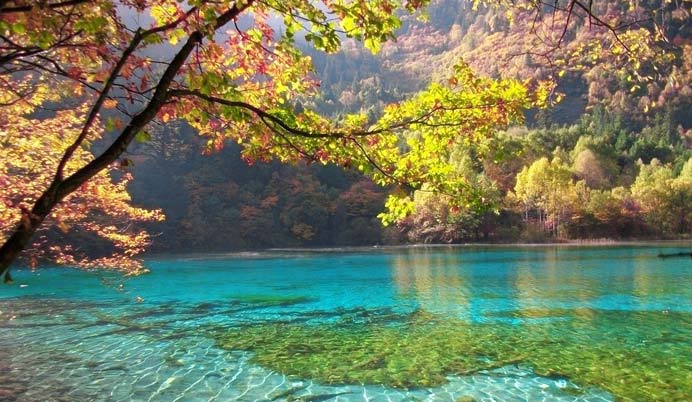 超值——成都,九寨沟,黄龙双飞5天童话之旅