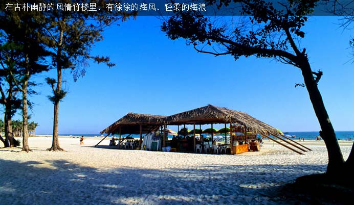 早上07:00人民广场正门集中乘车经茂名前往北海,游览【海底世界】(价值118元/人),坐落于北海海滨公园内,是以展示海洋生物为主,集观赏、旅游、青少年科普教育为一体的大型综合性海洋馆, 分为A、B两区。这里有珍稀的标本和奇特的亚热带鱼类等2800多件展品和近千种海洋生物;还有水族箱、海龟池、海豹池、360度全方位透视海底隧道、潜水表演、喂鱼表演和人鲨共舞表演等精彩节目,令人目不暇接。午餐后继往北海天健科技园,游览【梅花鹿观赏园】及参观现代化生产工艺流程,他是全国首家采用梅花鹿系列与深海产品系列相结合的保