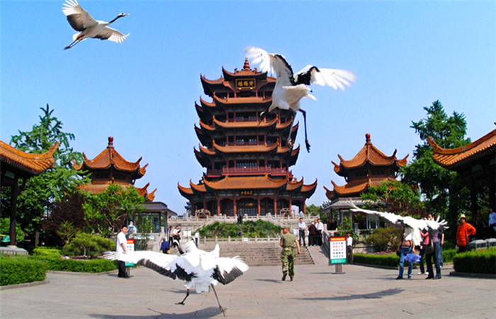 【快乐独立营】武汉万达电影乐园,武汉大学寻宝,黄鹤楼,特警基地高铁