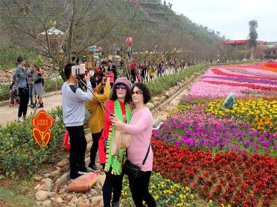 广东恩平花海欢乐世界,观光古长城,山顶摩天轮拍摄基地汽车1天【信宜