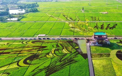 (花开富贵、鼠年运来)茂名牙象艺术公园神奇大地花卉、廉江安铺古镇新春美食节、品全鸡宴欢乐汽车一天游