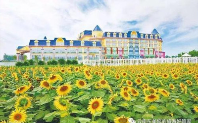 【广东人游广东】广州百万葵园赏花海、番禺大夫山森林公园、沙湾古镇汽车纯玩2天
