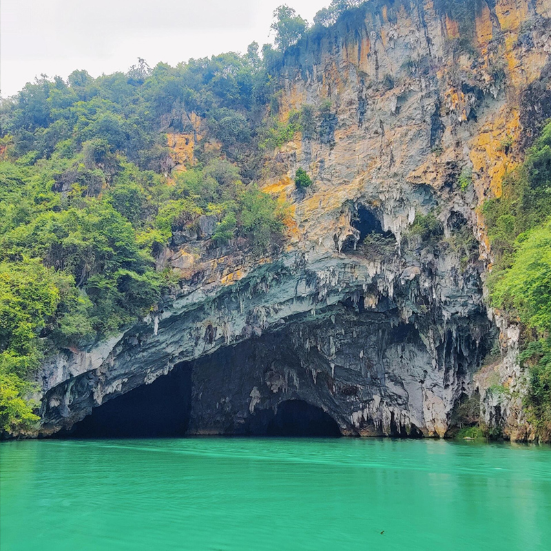【醉美河池-长寿巴马】广西河池巴马百鸟岩、百磨洞、梦巴马、百色鹅泉田园风光、起义纪念园、德天跨国瀑布汽车纯玩4天