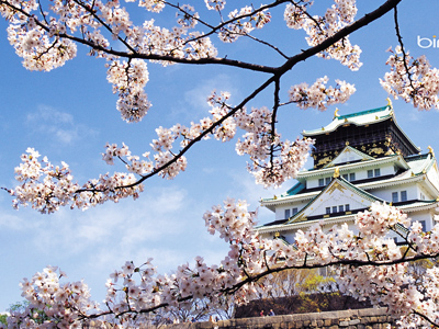 （国旅自组）【话说山西】山西五台山、云冈石窟、平遥古城、乔家大院、忻州古城双飞八天