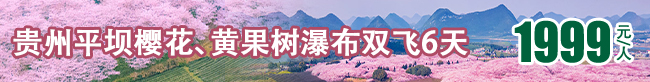 多彩黔行·赏花季